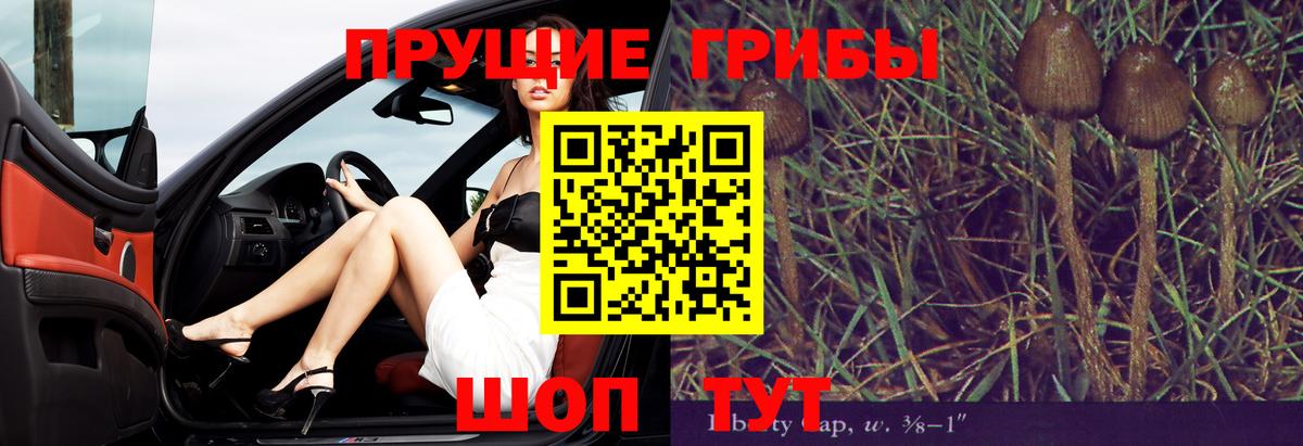 Псилоцибиновые грибы MAGIC MUSHROOMS  Вход с VPN  Нерюнгри 