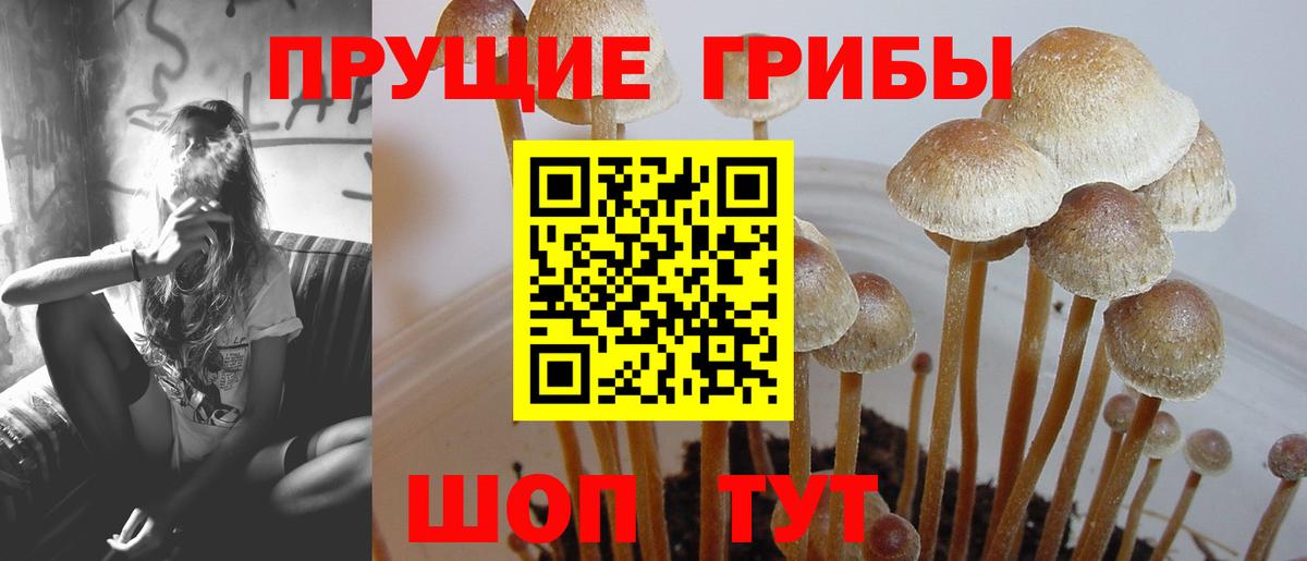 Галлюциногенные грибы мухоморы Нерюнгри